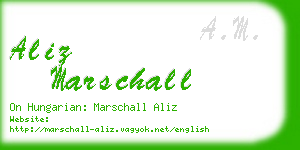 aliz marschall business card